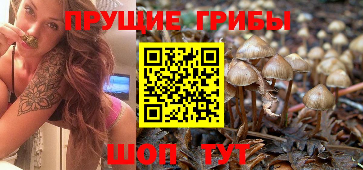 Галлюциногенные грибы мухоморы Северобайкальск